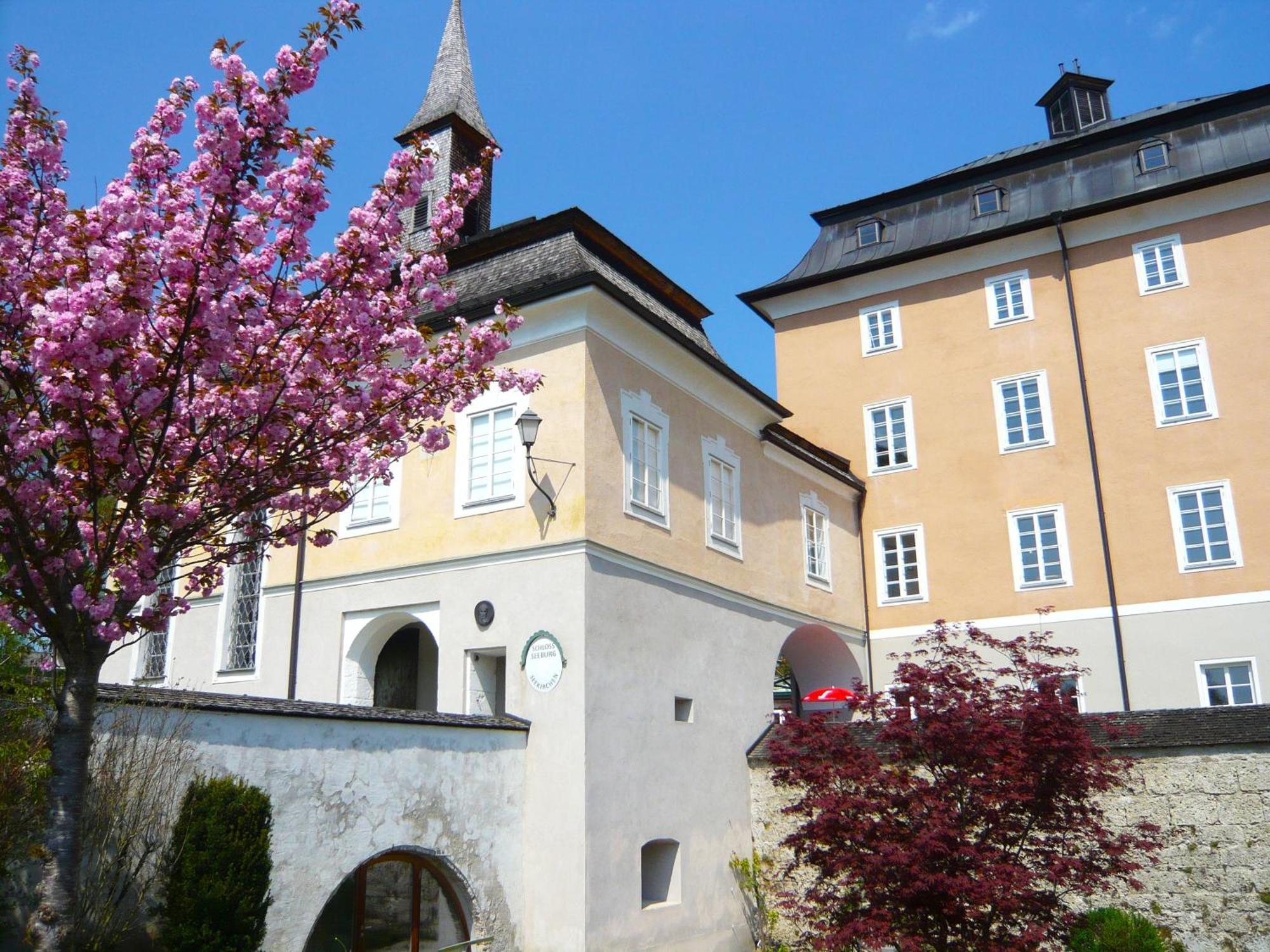 Haus Am Weinberg Apartment Seekirchen am Wallersee Exterior photo